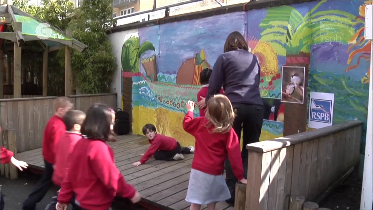 The Great Sparrow Mystery