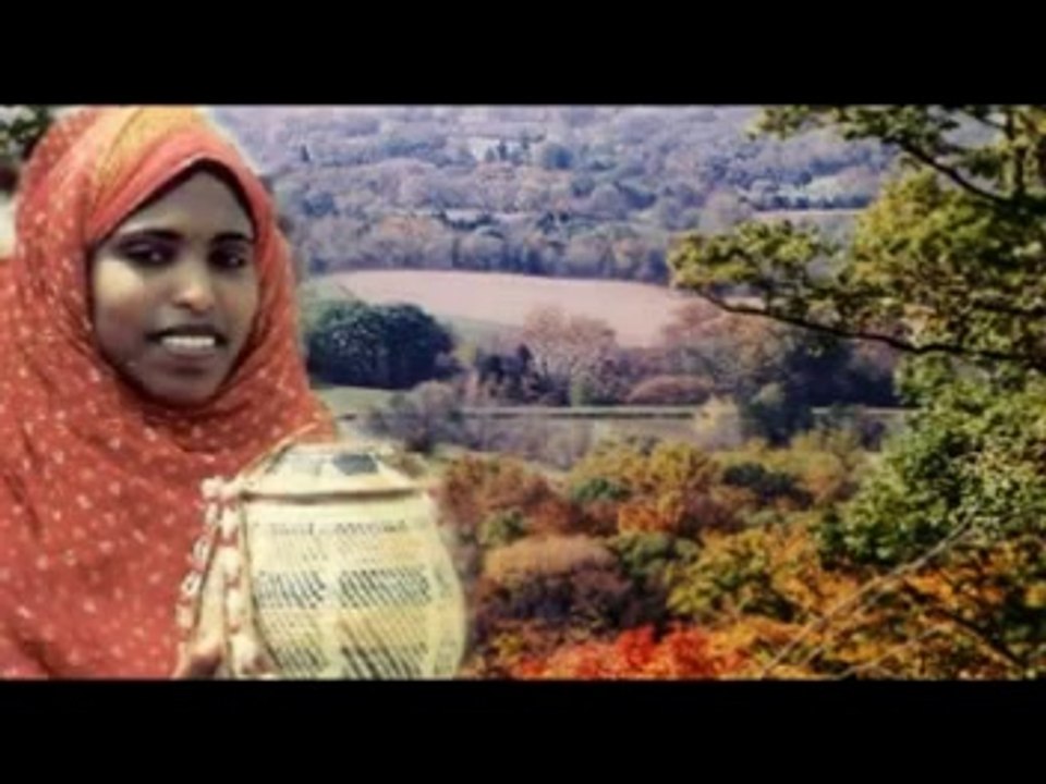 Eritrean Instrumental music Dawit Kidane