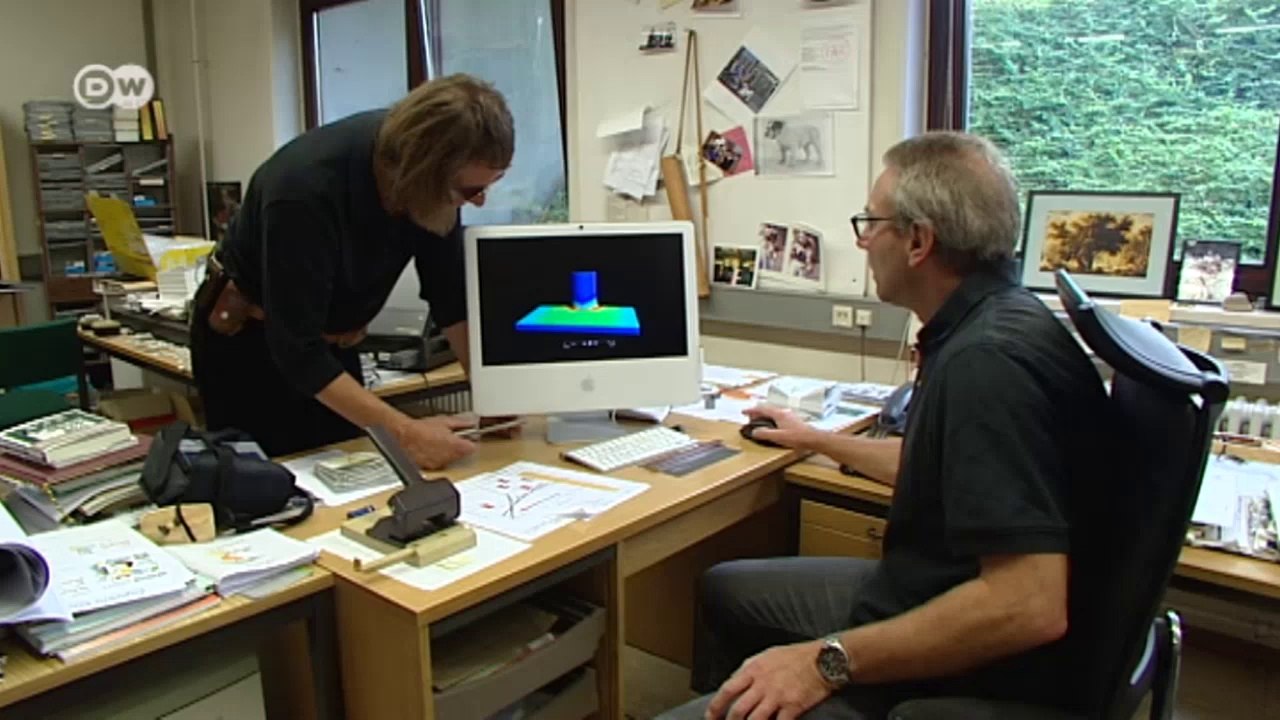 The Mathematics of Trees | Tomorrow Today