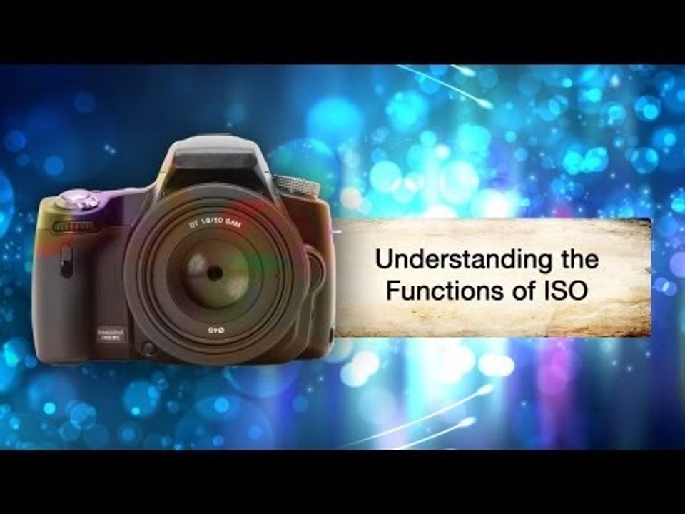 What Does ISO Mean? || Shraddha Kadakia