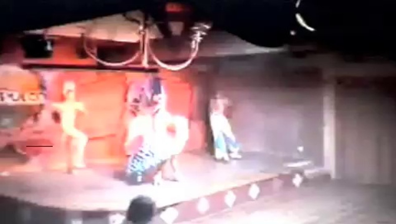 Brasil: Cultura, Economia e Natureza 🌎