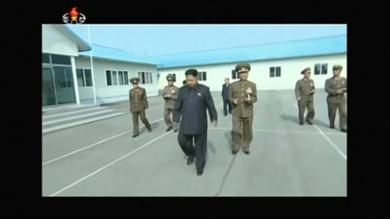 North Korea acknowledges leader Kim Jong Un has health problems