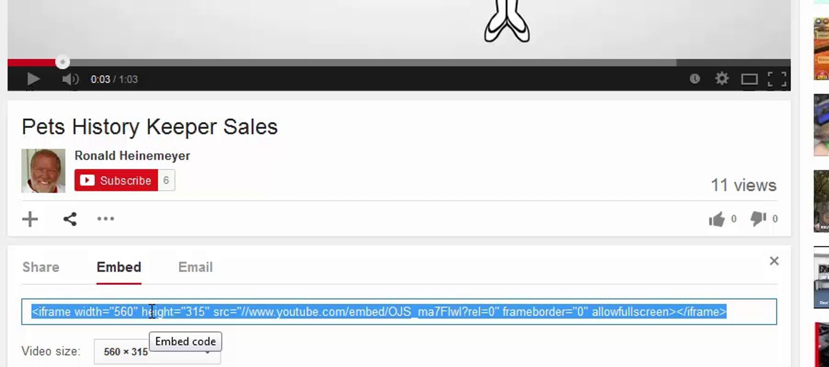 Guide to Embedding Video in Webpages 🎥