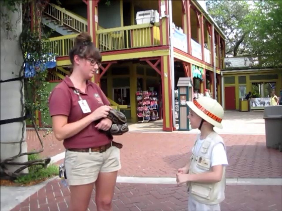 How to go to the Zoo