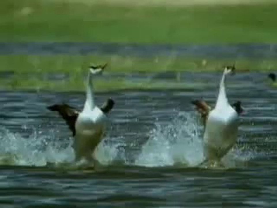 What is happening 83