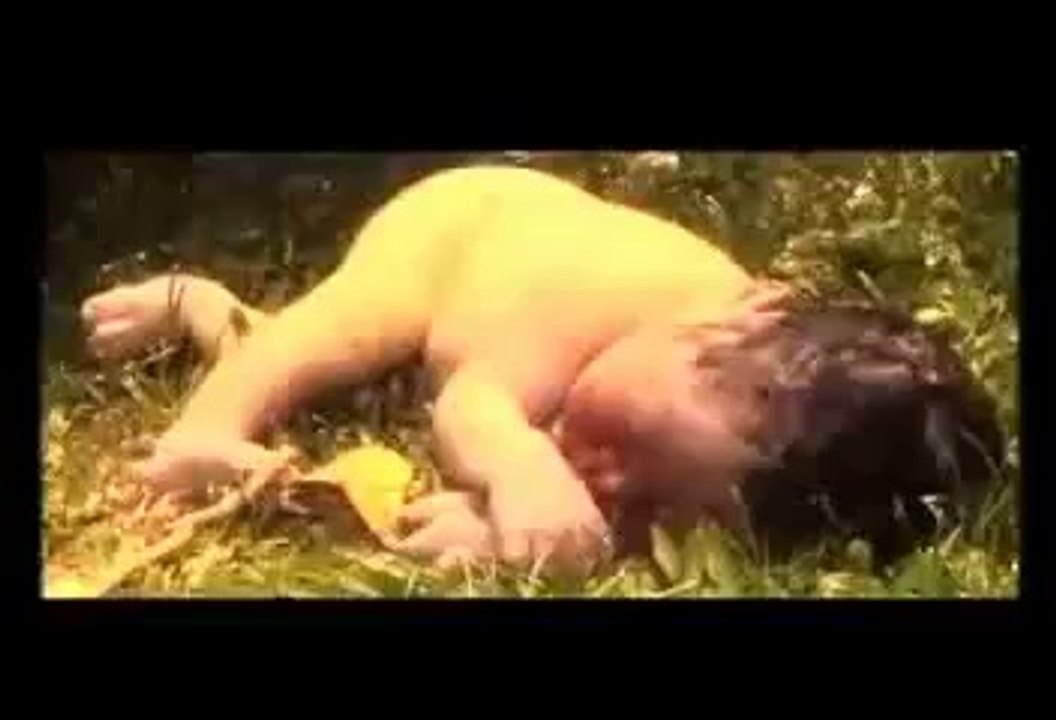 انتشارالزنا - ( يسروا أمور الزواج )