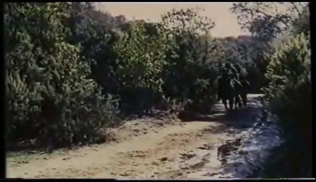 Vengeance for Vengeance