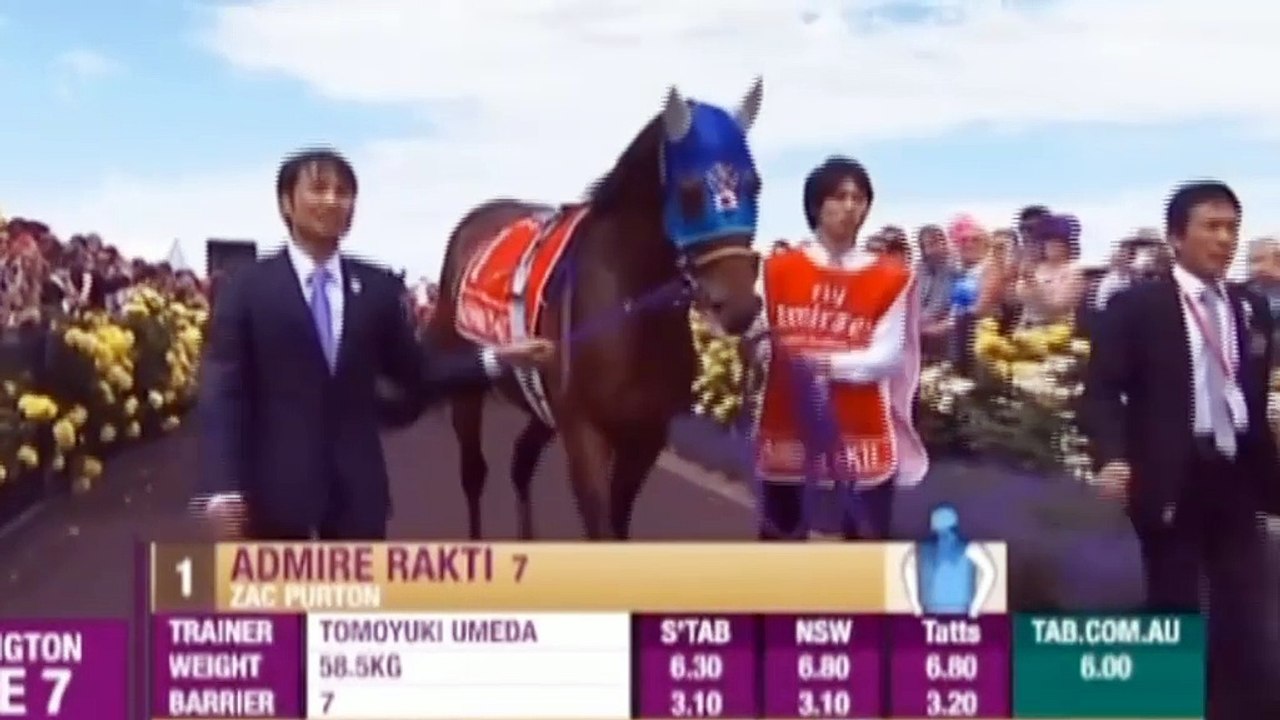 Protectionist wins tragedy-marred Melbourne Cup