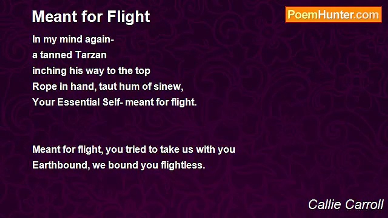 Callie Carroll - Meant for Flight