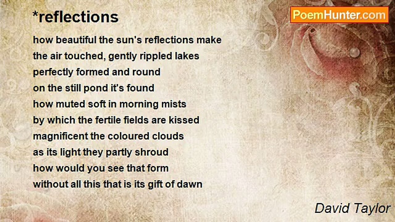 David Taylor - *reflections