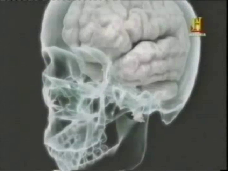 Enigma y Lorenz: Los codigos secretos de Hitler