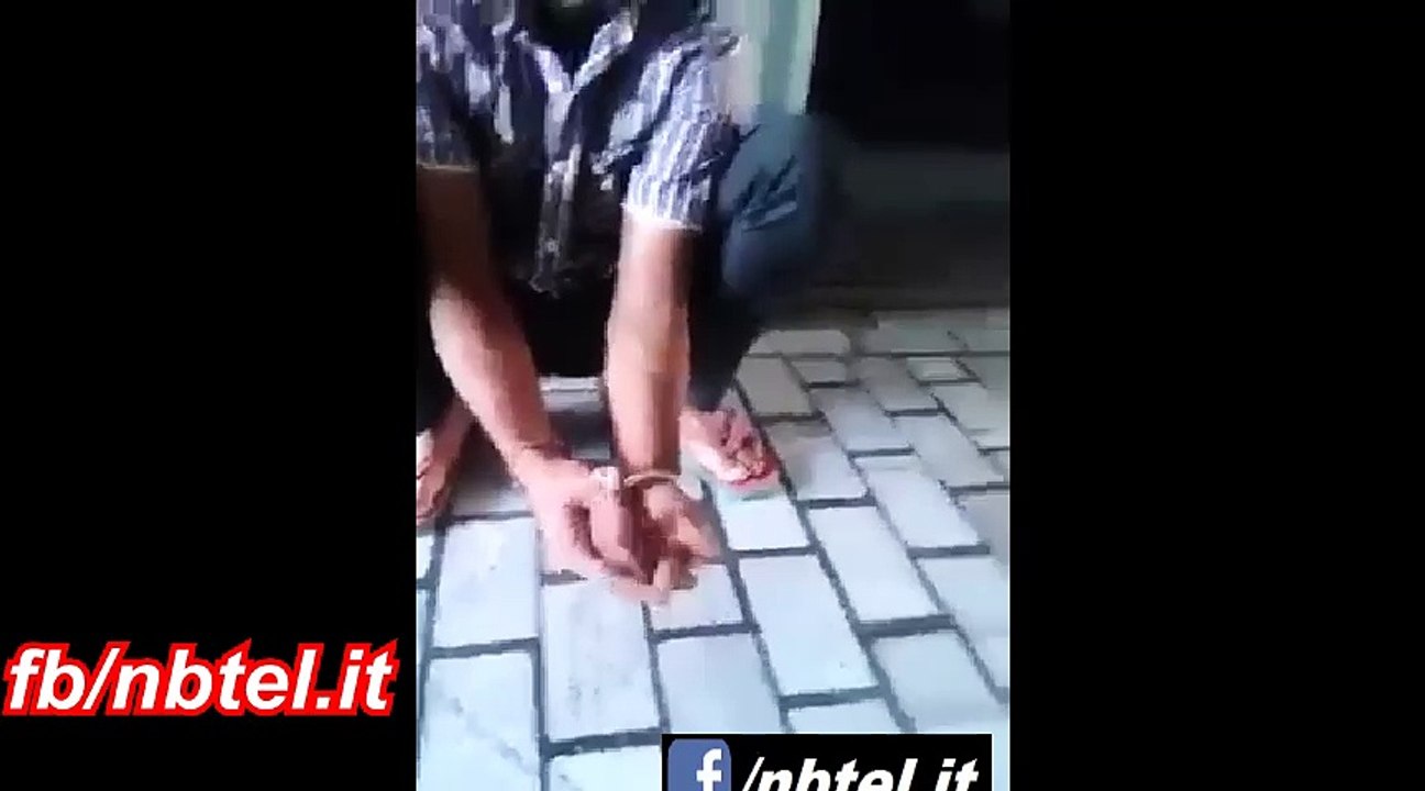 Sade bande ta nasha kr ke raj chuke Han,hun eh janvara nu v Nashe te la rahe han Dekho es di misal es video vich