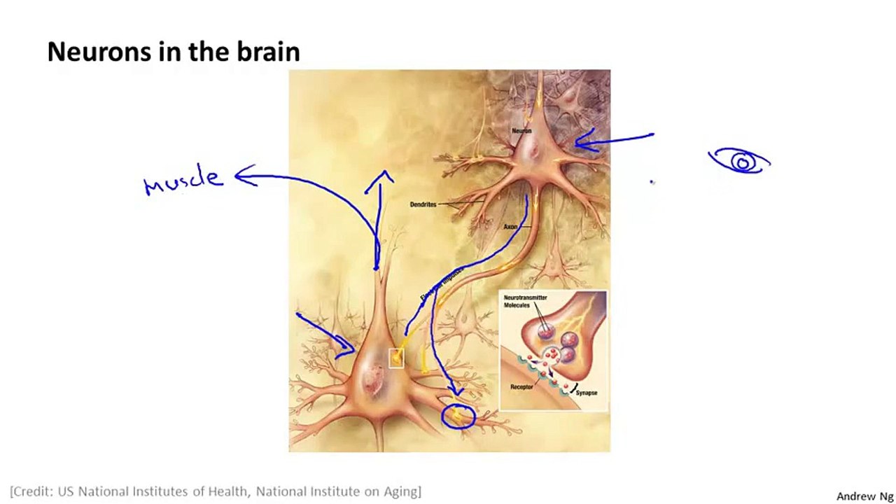 8.3 Machine Learning Model Representation I