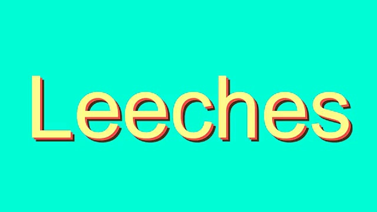 Learn How to Pronounce 'Leeches' Correctly 🦎