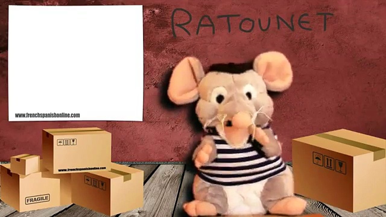 French Pronunciation and Common Phrases for Asking Names