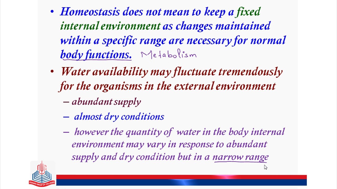 Concepts In Homeostasis (ii)