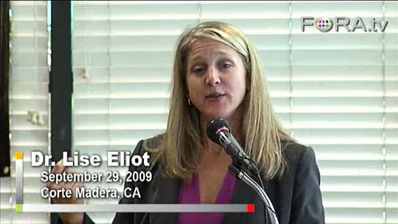 Trucks and Trig: Why Boys Excel in Math and Engineering