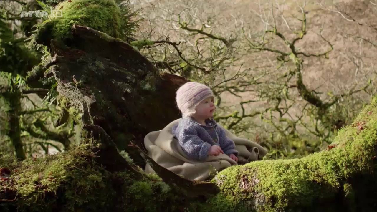 Các bé thật kinh ngạc - phụ đề tiếng Việt