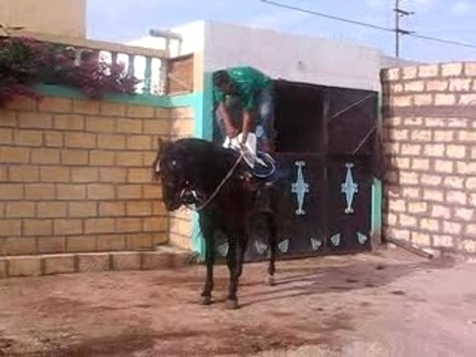 daoud...........vive  casa16