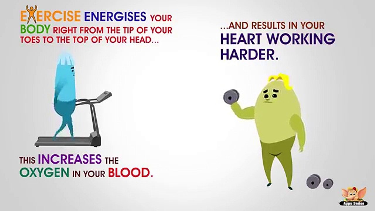 Why do you need Exercise.mp4