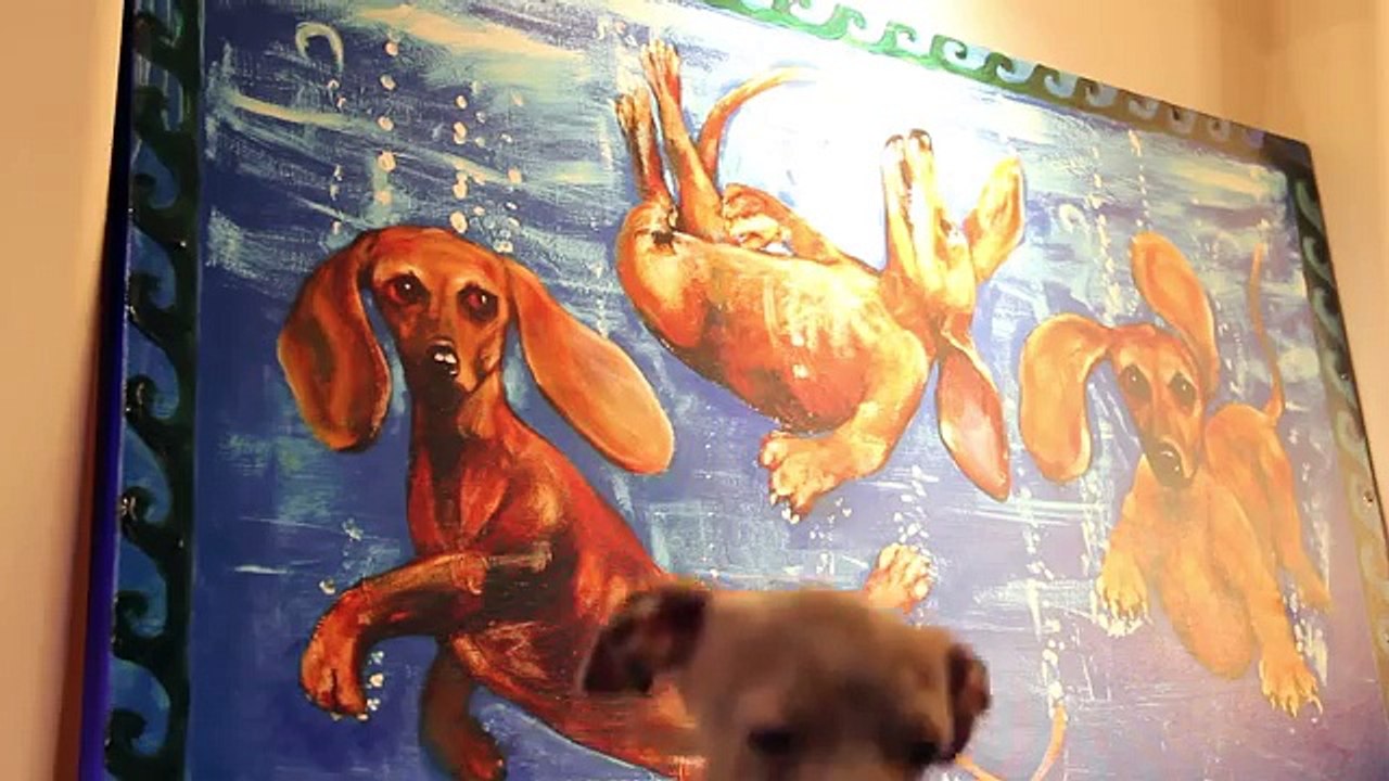 Most Popular Videos Worldwide 🌍