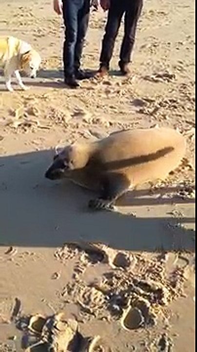 Uma amizade diferente