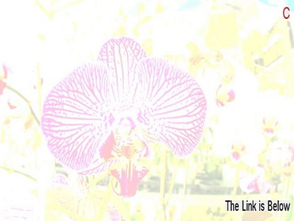 C++ Builder Examples Collection Full - Legit Download 2015