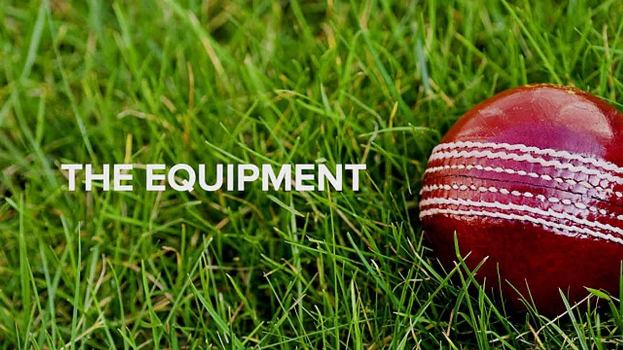 Americans Watching Cricket First Time In Life! Hilarious!