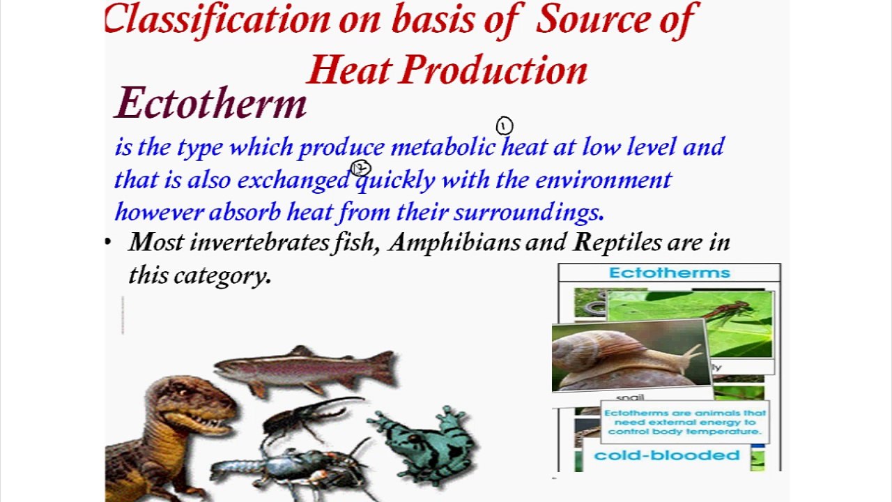 Classification On Basis Of Source Of Heat Production