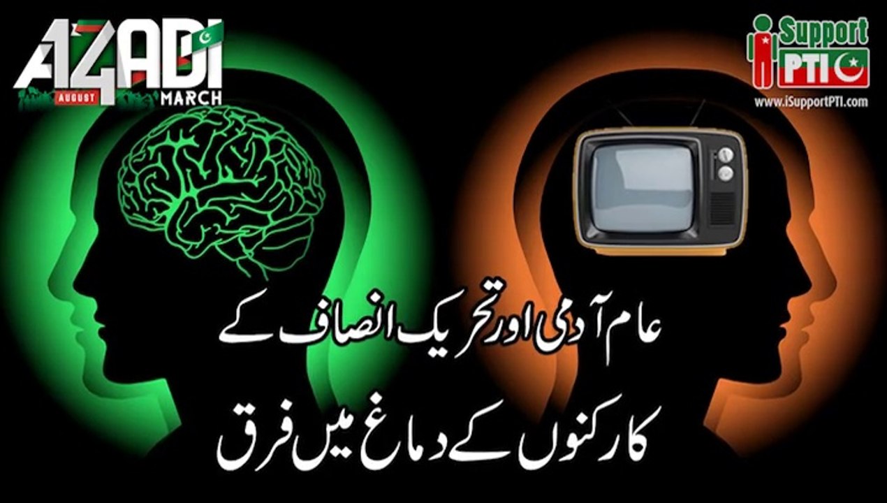 difference between PTI and Patwari Brains
