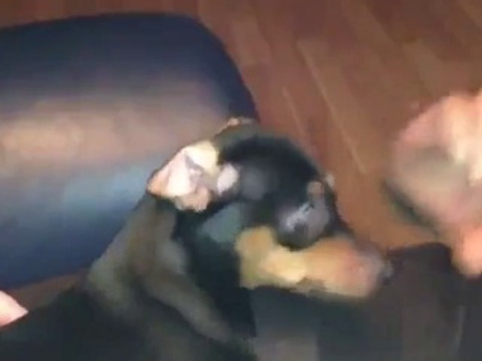 Ржачь до слез смотреть онлайн)))