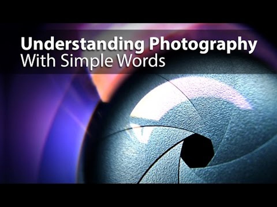 Understanding Photography With Simple Words - PLP #139