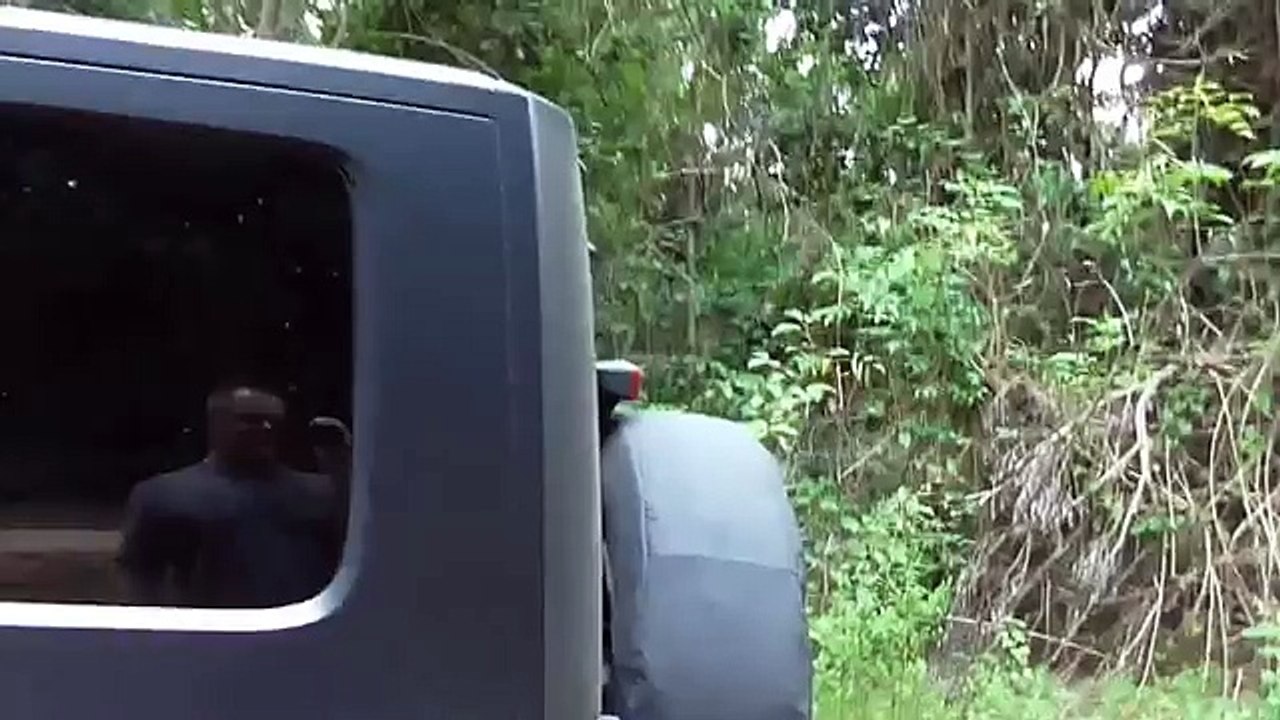 Отпечаток "руки" Йети на машине