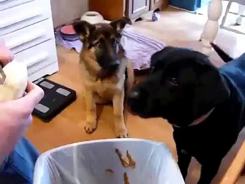 Вот это реакция!!