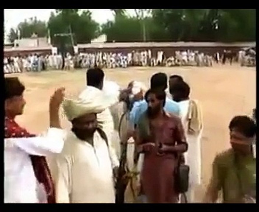 Horse dance competition in pakistan