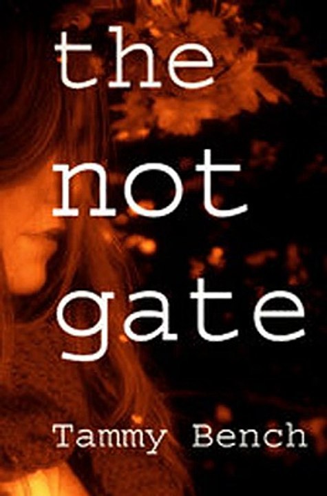 Download The Not Gate by Tammy Bench 📚 – Free PDF & EPUB Mirrors