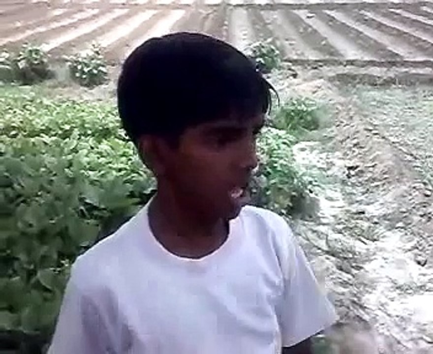 Dukh Chota Master Saleem