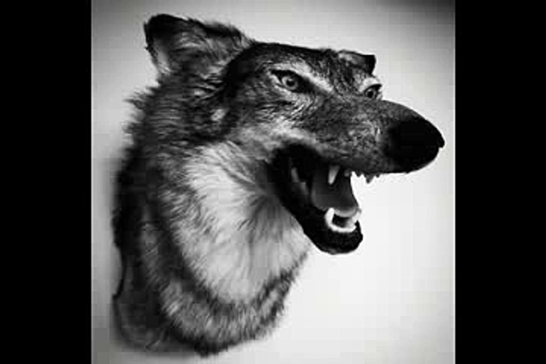 Yelawolf - Love Story [Love Story]