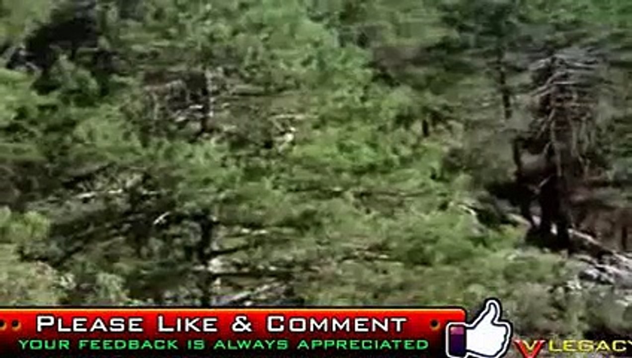 Eagle vs Snake - Black Mamba Fight With Eagle