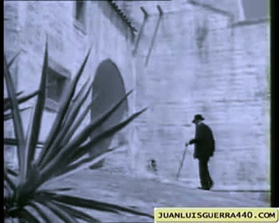 Juan Luis Guerra - Vivire