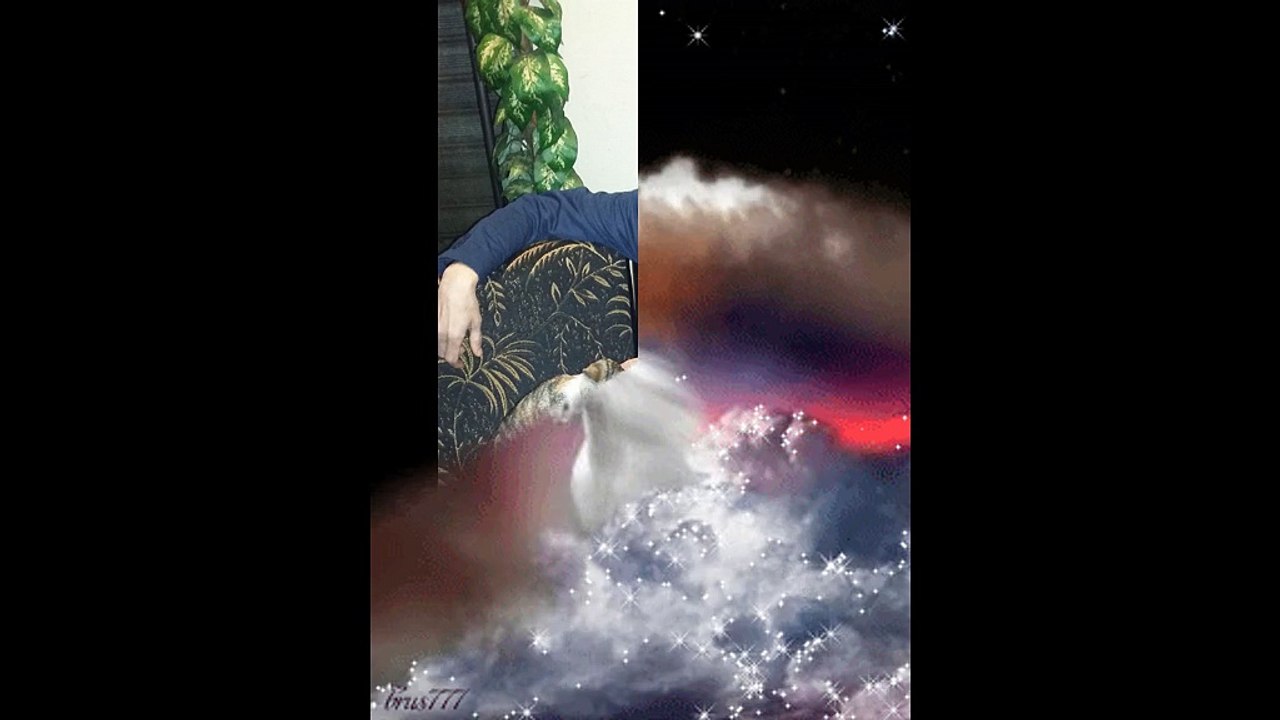 chikh omar(KHALINI NKAMALAK SID JUJE)