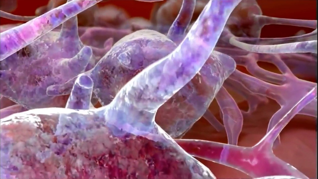 Introduction to Cells