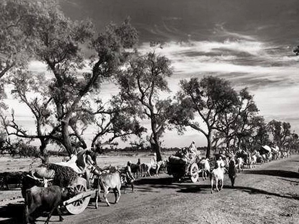 Black History||Latest History Videos||The History Of India||New History Video||History||FULL VIDEO-History Small Video