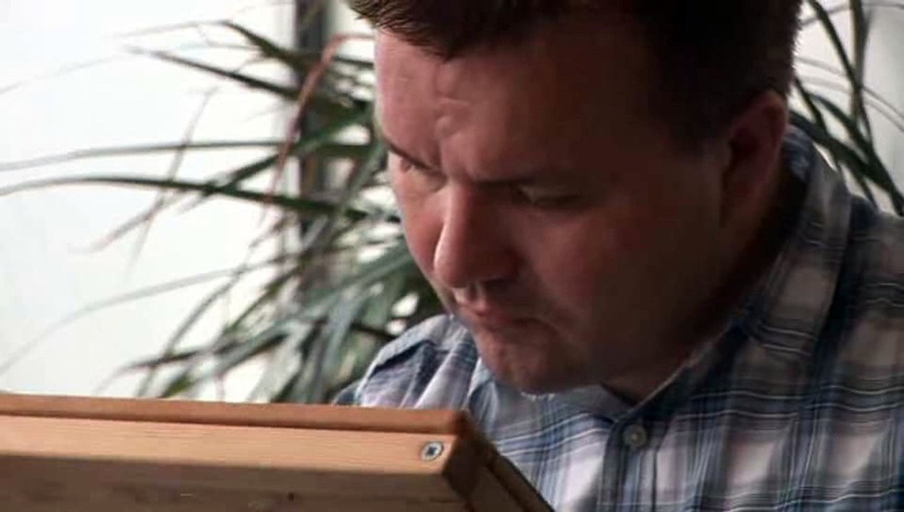 How To Understand Calligraphy Environment