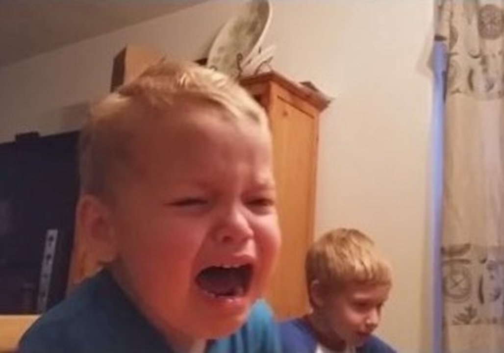 2 Two-Year-Old Covets Older Brother's Pokémon