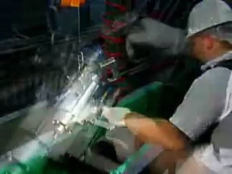 Captive Penetrating Bolt Gun Cattle Stunner