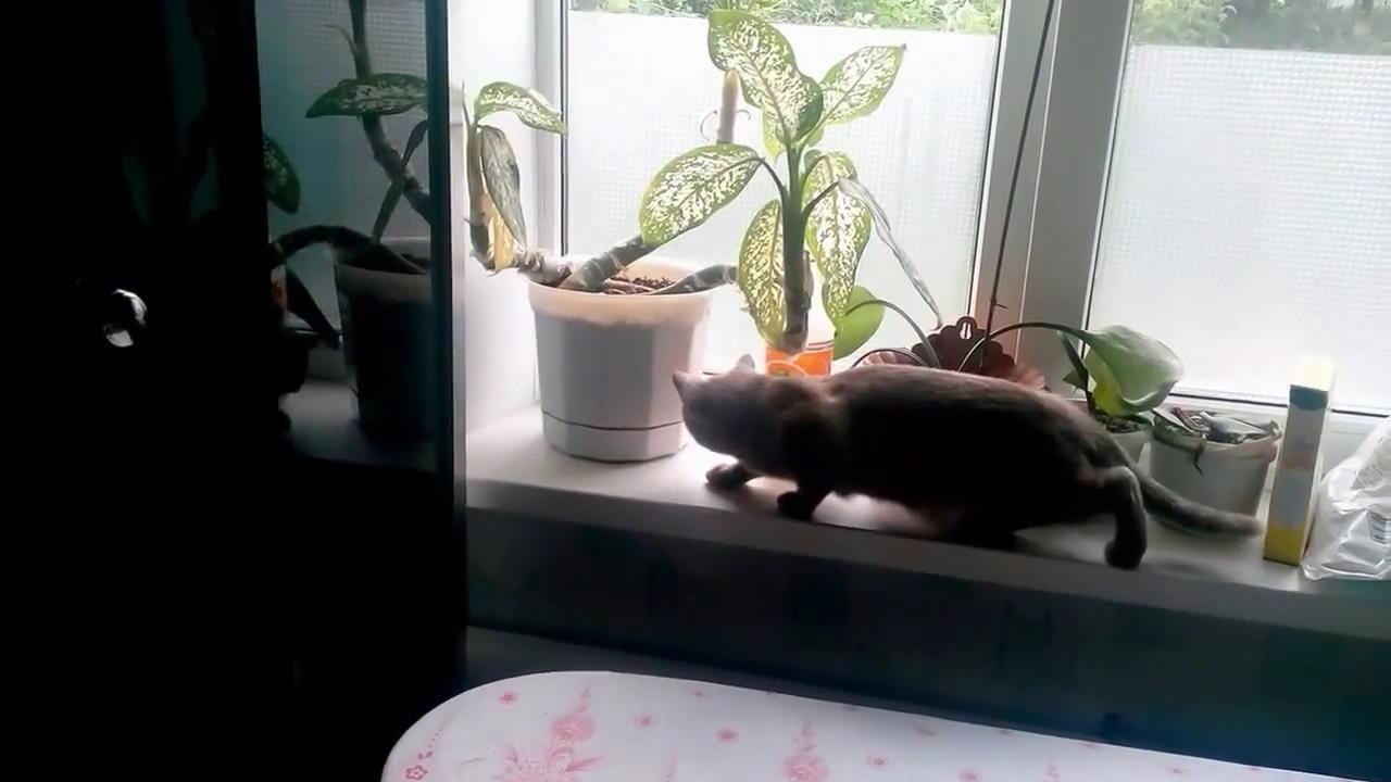 Охотник от Бога