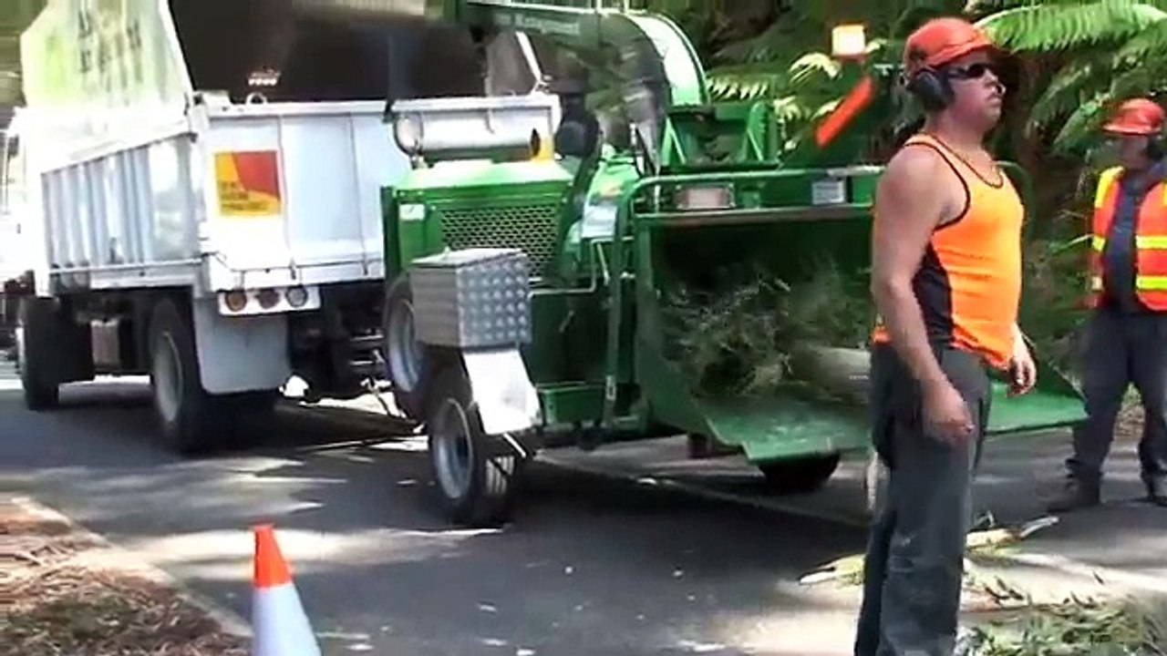 Tree Service Big Chipper Tree Removal and Tree Cutting Tree Video