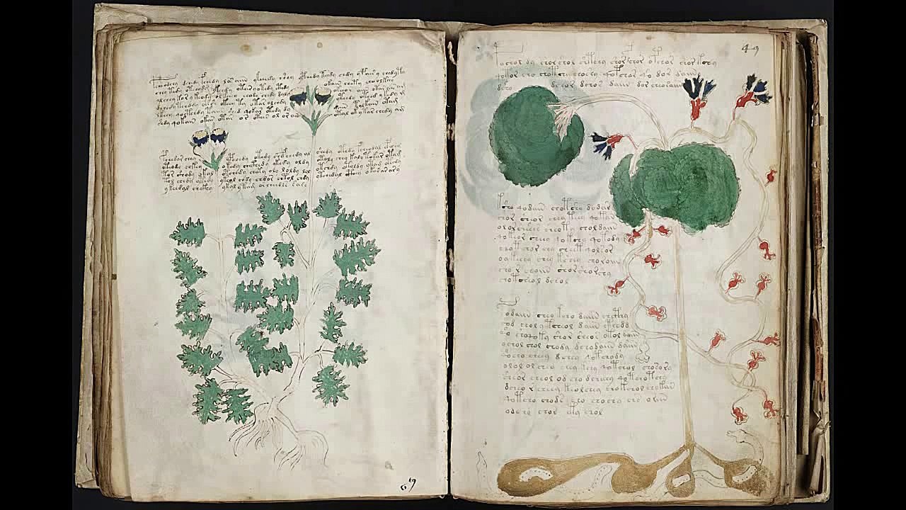 Voynich manuscript. All pages scanned (undeciphered language)