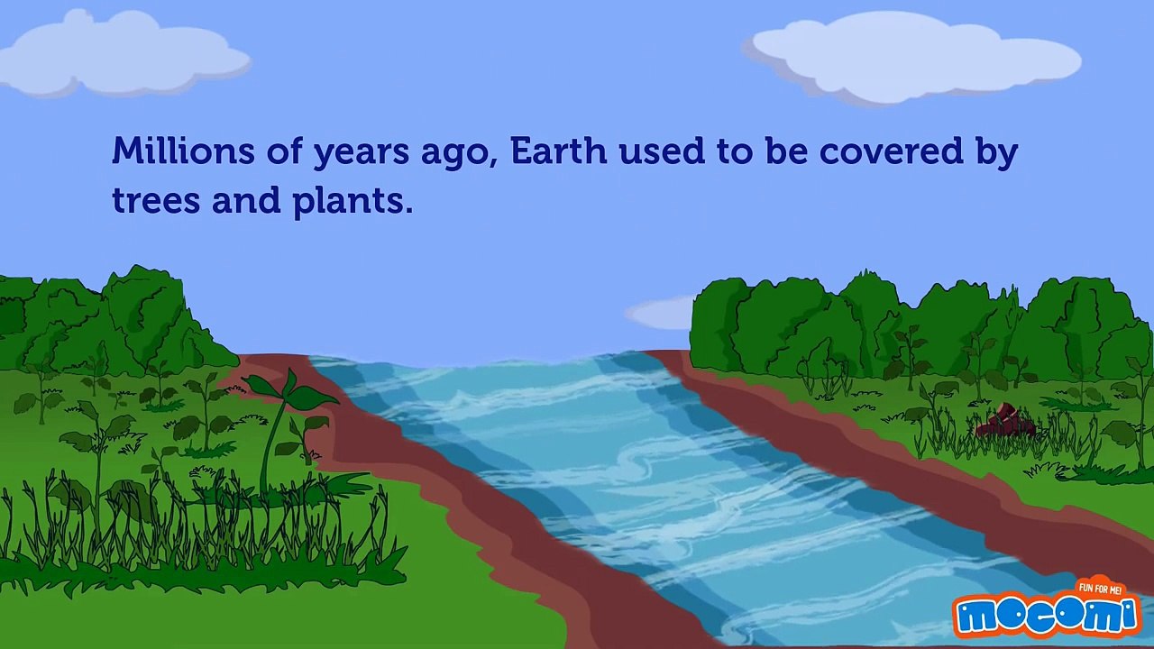 How is Coal Formed? | Mocomi Kids